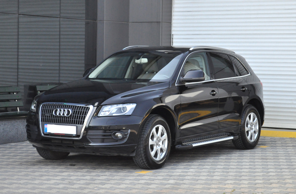 Trittbretter Schweller Seitenschweller Leisten Fur Audi Q5 Sq5
