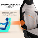 2x Sitzbez&uuml;ge (Pilot) passend f&uuml;r Renault Modus in Beige Schwarz 1256P043