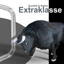 Frontb&uuml;gel EDELSTAHL passend f&uuml;r KIA SPORTAGE 2008 bis 2010 &Oslash;76mm