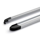 Trittbretter passend f&uuml;r Dacia Stepway ab 10/2012 (Model: MAJA, Farbe: Silber) mit ABE